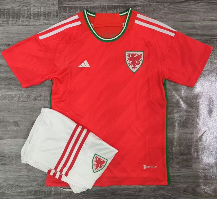 2022/2023 Wales Home kids kit  jersey