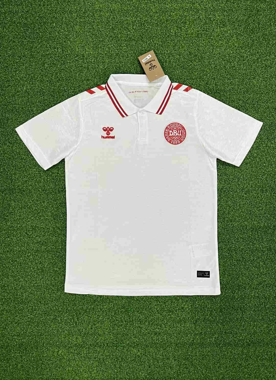 2024-2025 Denmark home